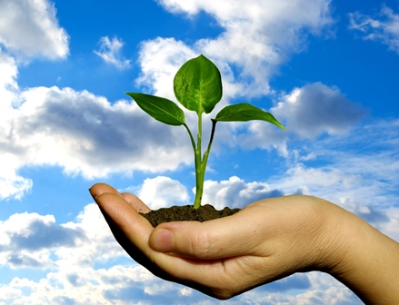 iso-14001-cevre-riski-azaltma-cevre-yonetim-sistemi-programlari-nedir-nasildir ISO 14001 Çevre Riskleri Nasıl Azaltılır Çevre Yönetim Sistemi Programı Nasıldır  Çevre Hedefleri Çevre Amaçları Çevre Riski Azaltmak için ne yapmak gerekir